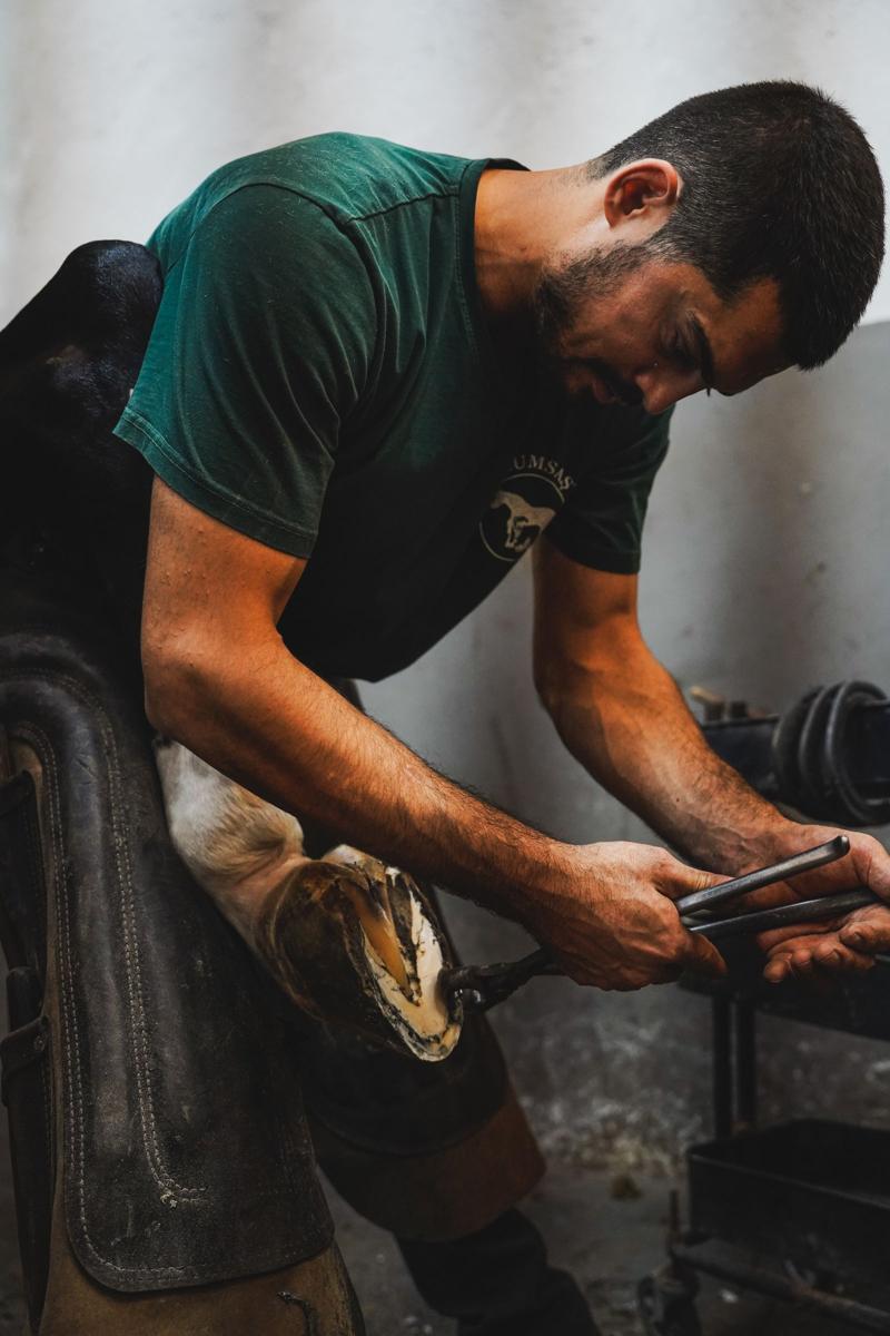 Farrier trimming a hoof in a stable